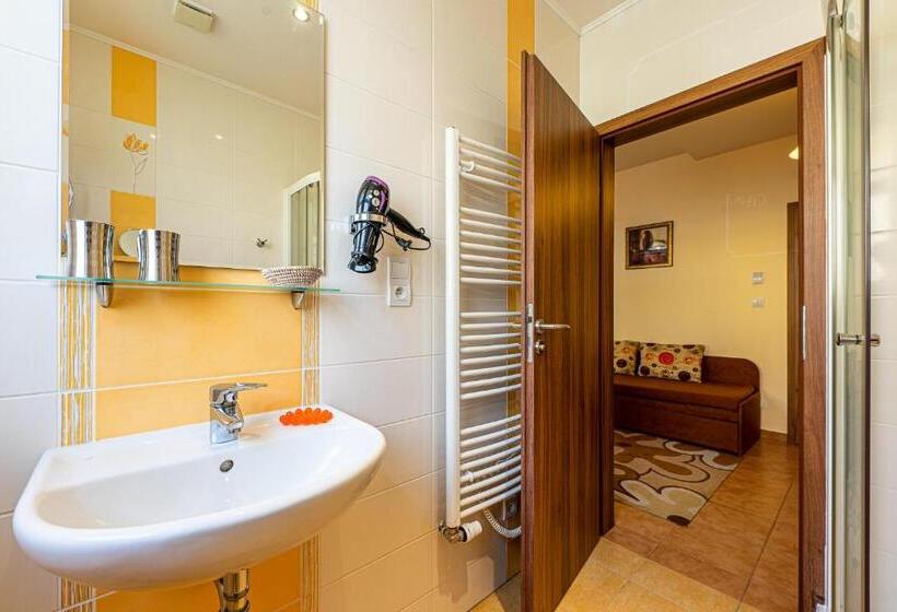 بنسيون Villa Walir   Spa Hotel Garni Superior