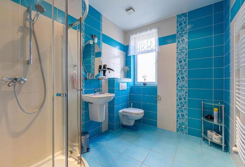 بنسيون Villa Walir   Spa Hotel Garni Superior