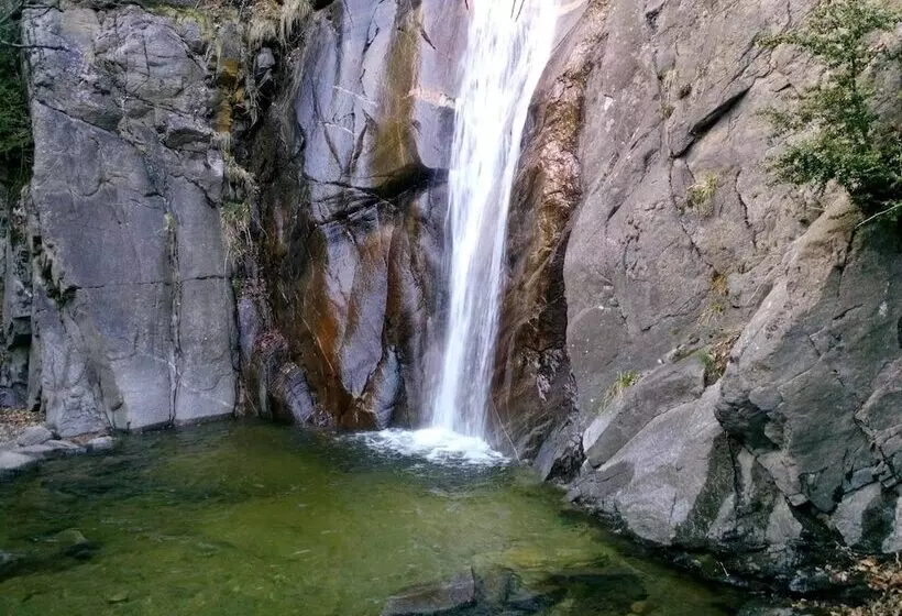 Pension Fonda Vilalta