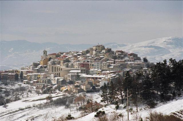 Общежитие Perbacco