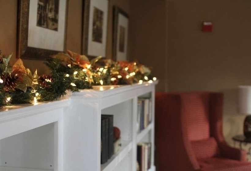 旅馆 Snapdragon Inn