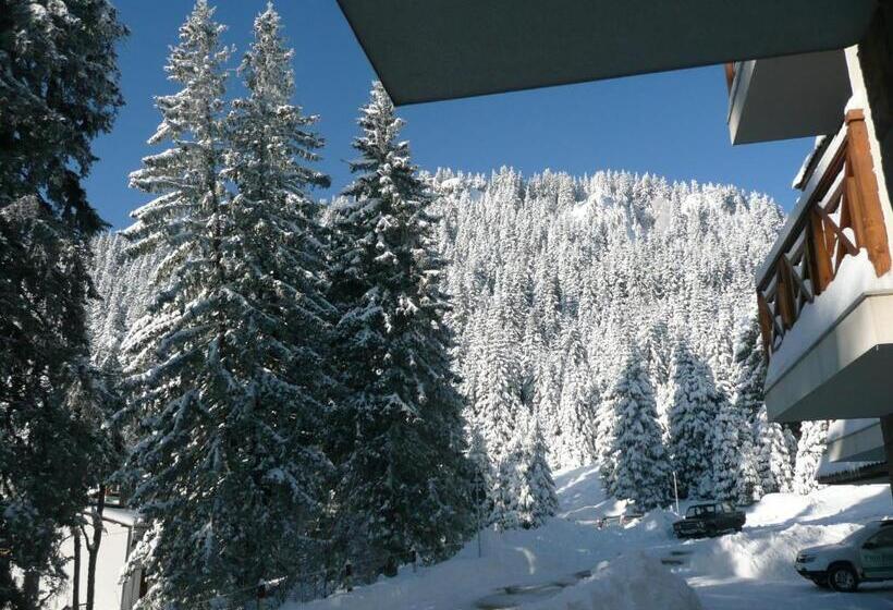 Aparthotel Pine Hills Pamporovo