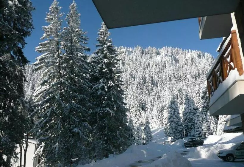 Aparthotel Pine Hills Pamporovo