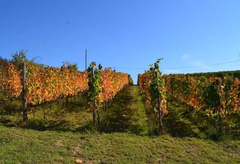 ホテル Agriturismo Costa Dei Platani