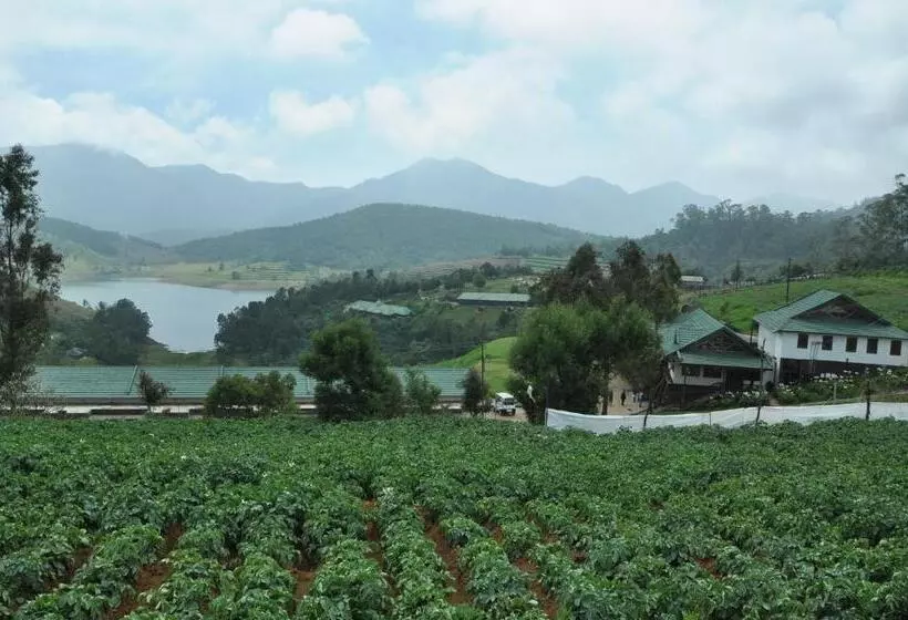 Hotelli Destiny The Farm Resort