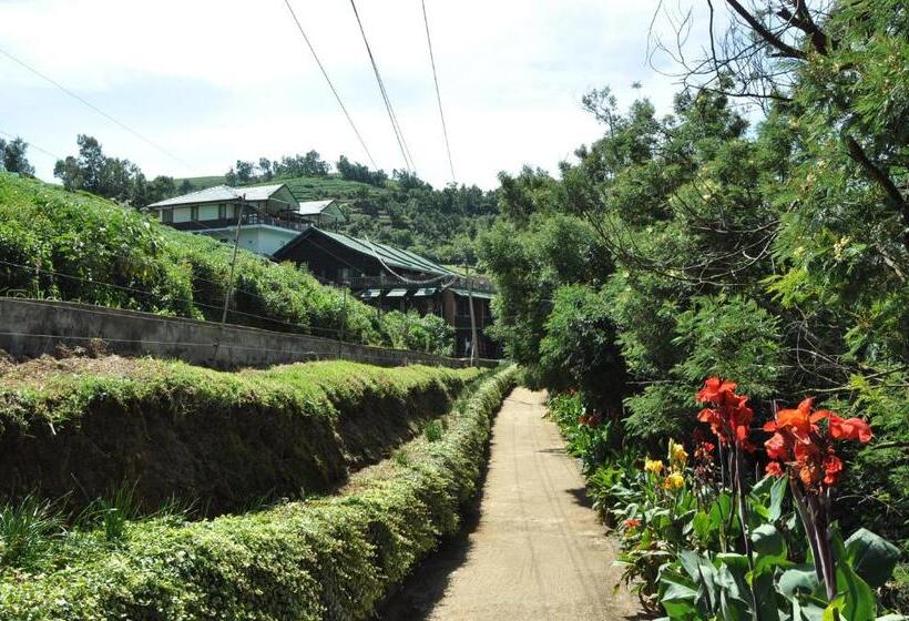 בית מלון כפרי Destiny The Farm Resort