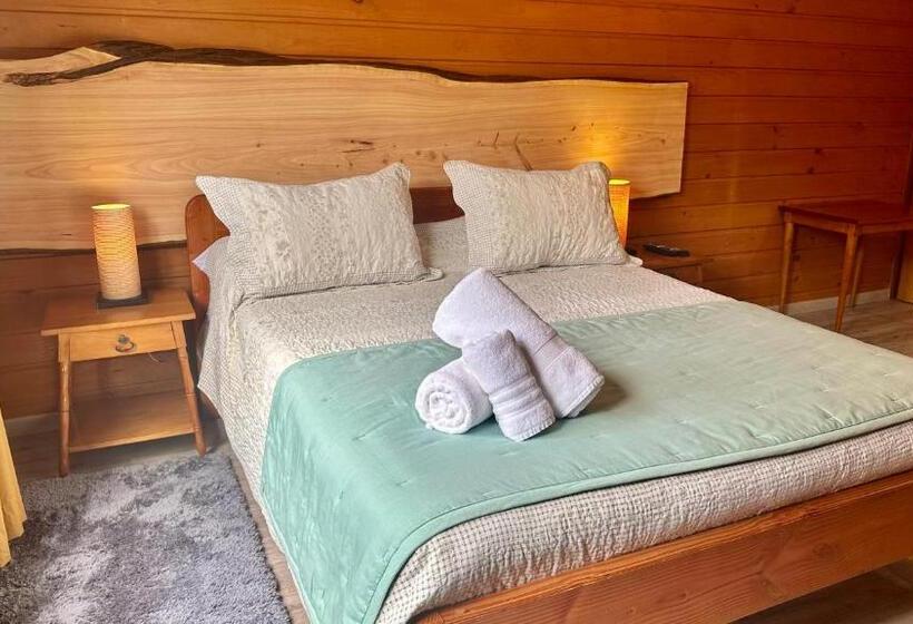 בית מלון כפרי El Coihue