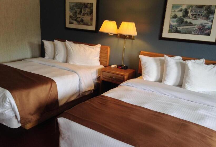 מוטל Bancroft Inn & Suites