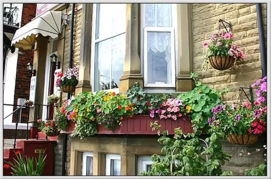پانسیون Belle View