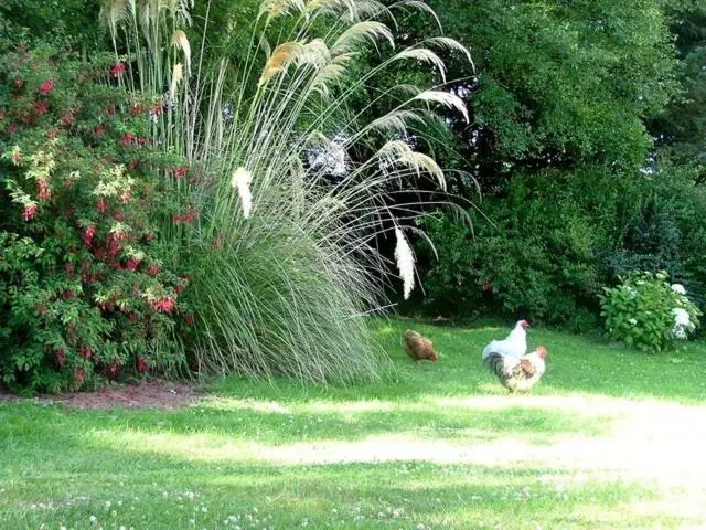 Pension Oakbank Farm