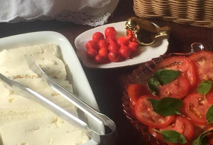 פנסיון Recanto Suíço