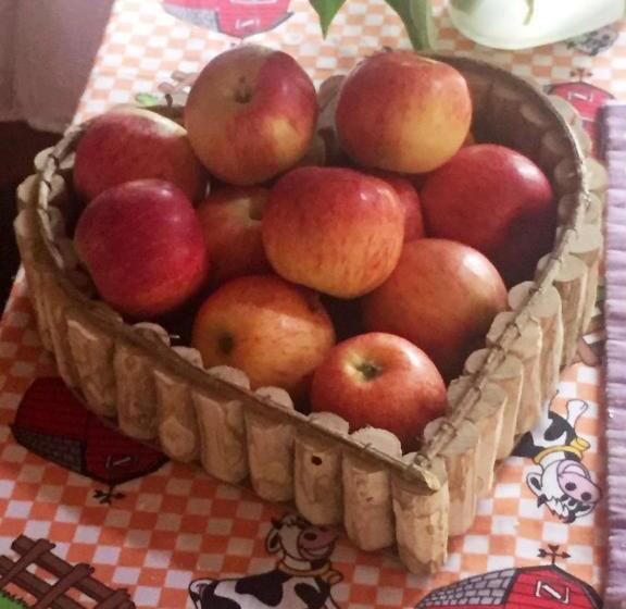 פנסיון Recanto Suíço