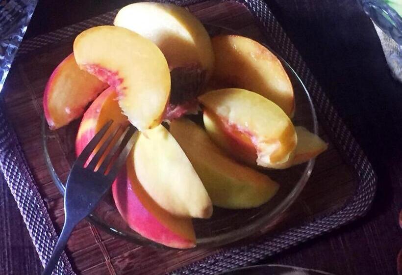 פנסיון Recanto Suíço