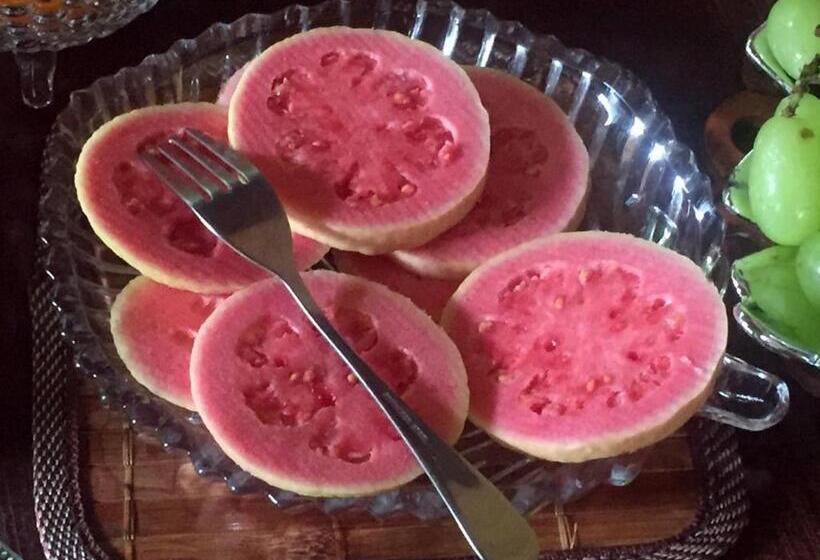 פנסיון Recanto Suíço