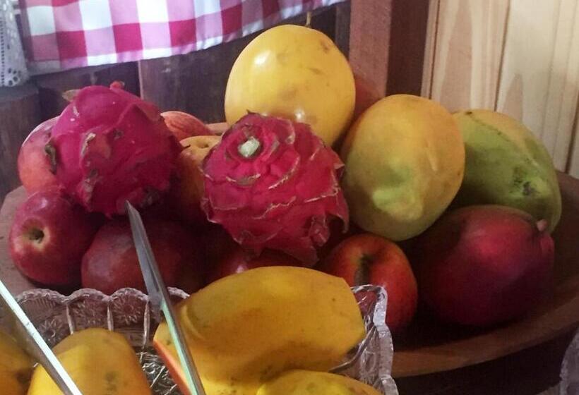 פנסיון Recanto Suíço