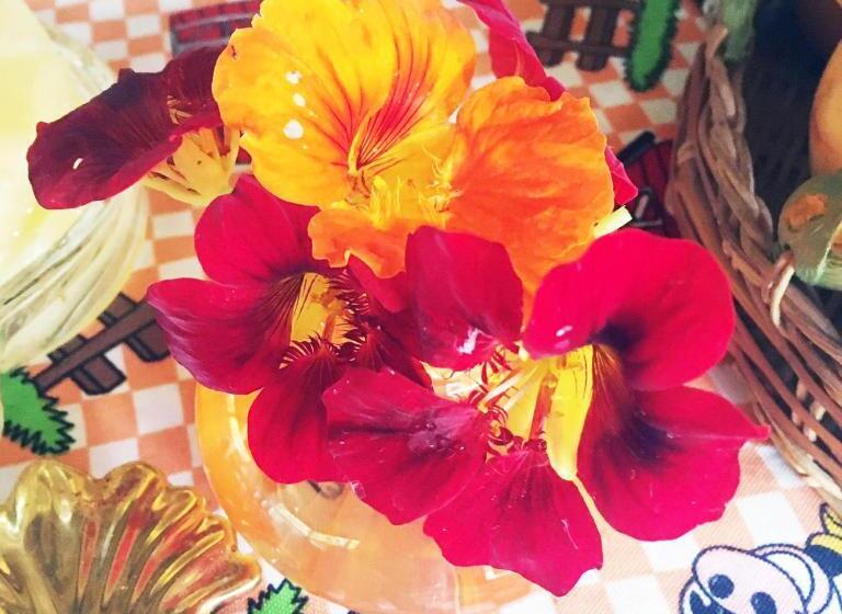 פנסיון Recanto Suíço