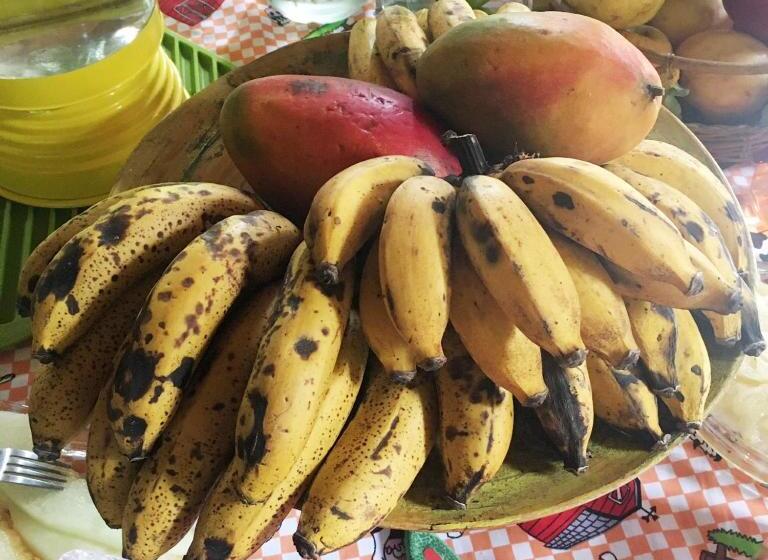 פנסיון Recanto Suíço