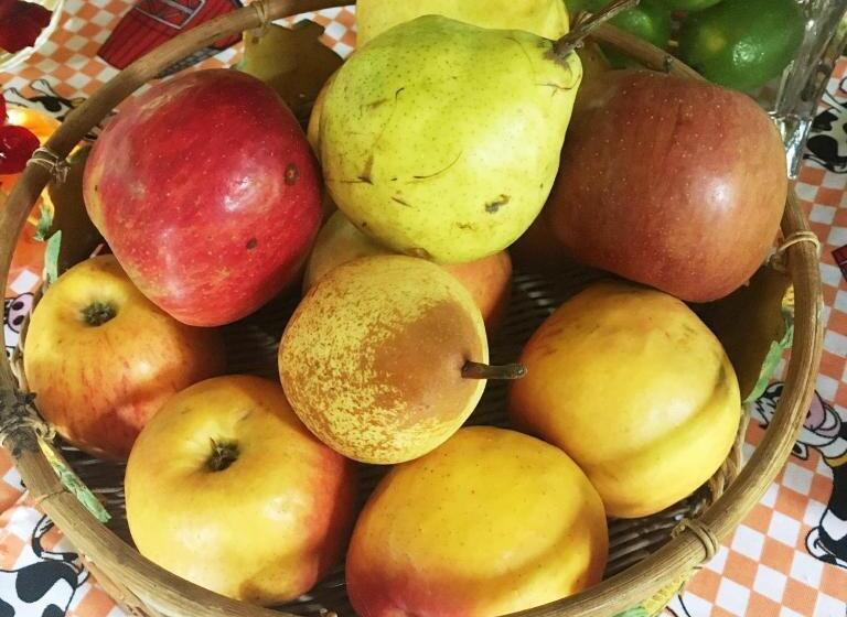 פנסיון Recanto Suíço