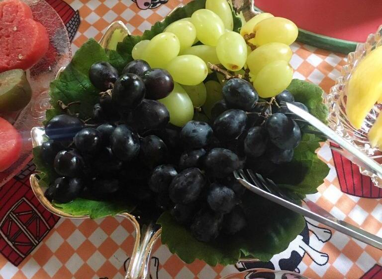 פנסיון Recanto Suíço