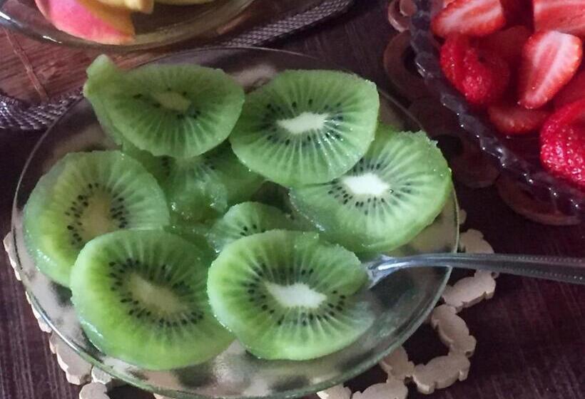 פנסיון Recanto Suíço