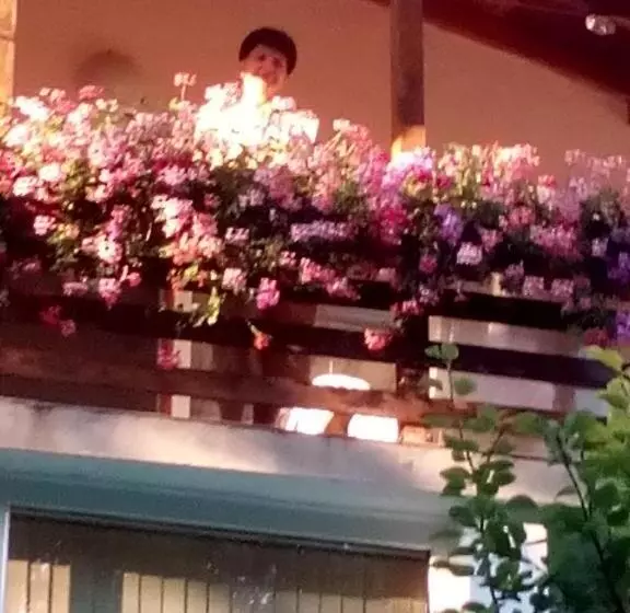 پانسیون Villa Exotica