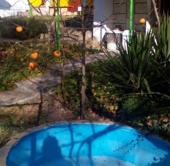 פנסיון Villa Exotica