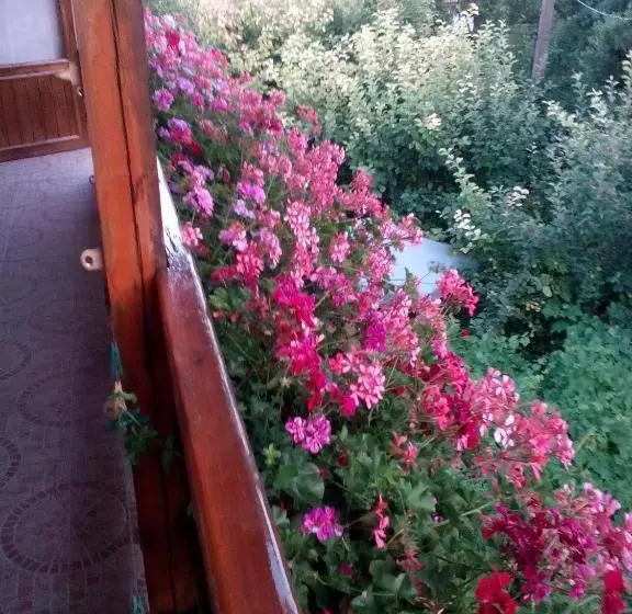 پانسیون Villa Exotica