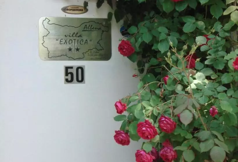 پانسیون Villa Exotica