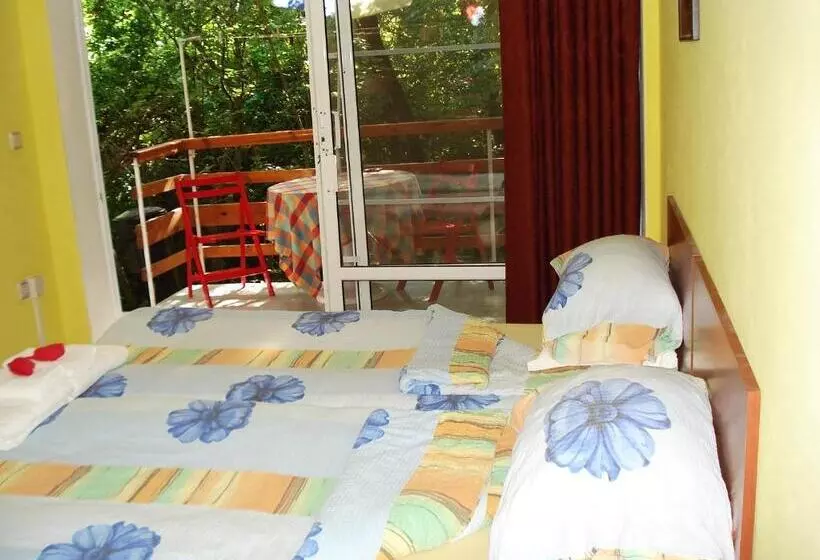 پانسیون Villa Exotica