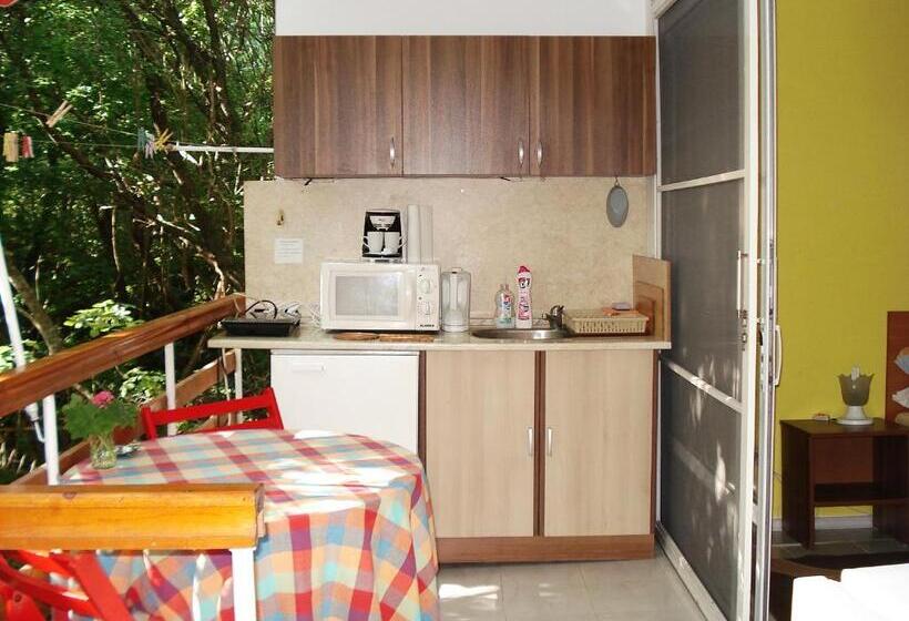 פנסיון Villa Exotica