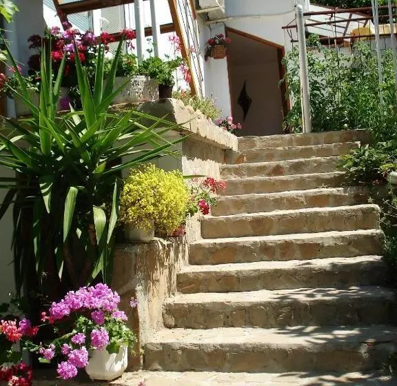 پانسیون Villa Exotica