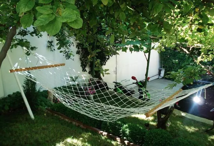 پانسیون Villa Exotica