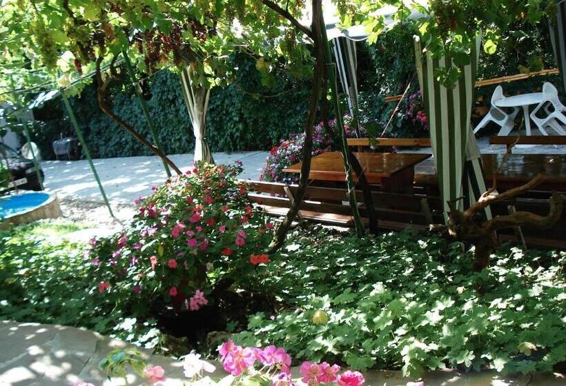 פנסיון Villa Exotica