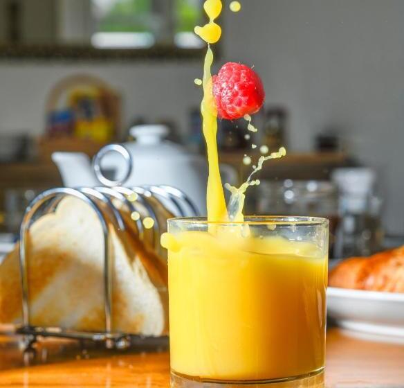 بنسيون West View