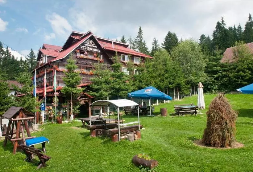 Pension Restaurant Speranta