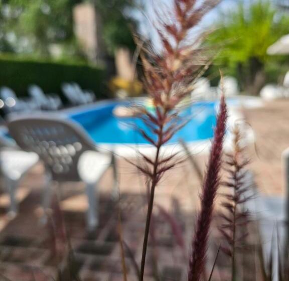 הוסטל Posada Aitue