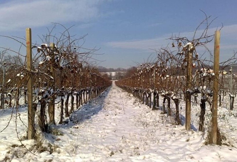 Отель Caspineda Agriturismo