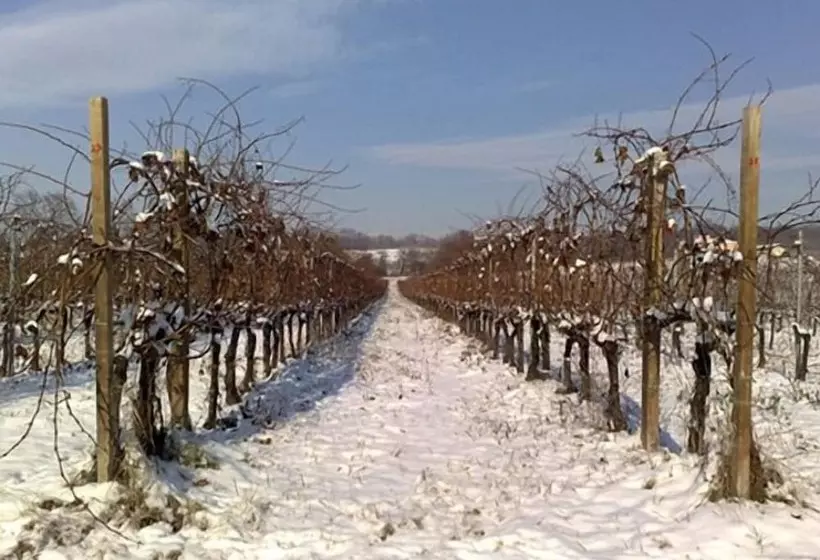 Hotelli Caspineda Agriturismo