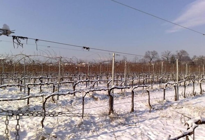 Отель Caspineda Agriturismo