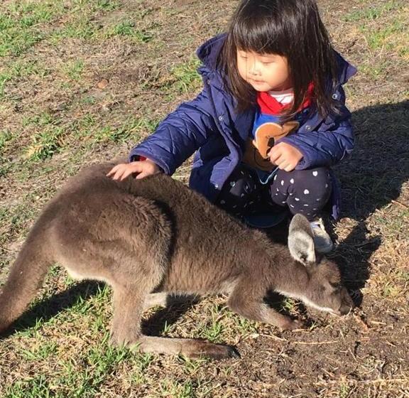 هتل Sunflowers Animal Farm & Farmstay