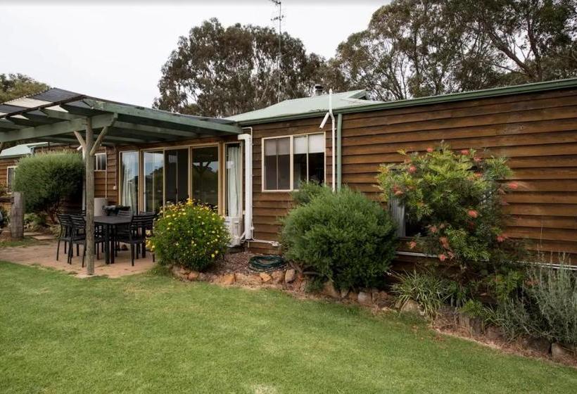 هتل Sunflowers Animal Farm & Farmstay