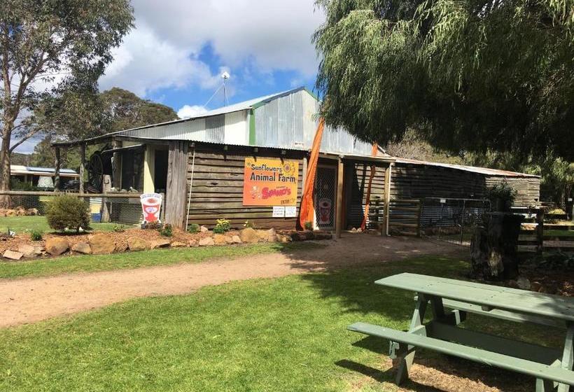 هتل Sunflowers Animal Farm & Farmstay