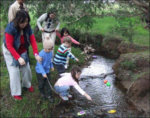 هتل Sunflowers Animal Farm & Farmstay