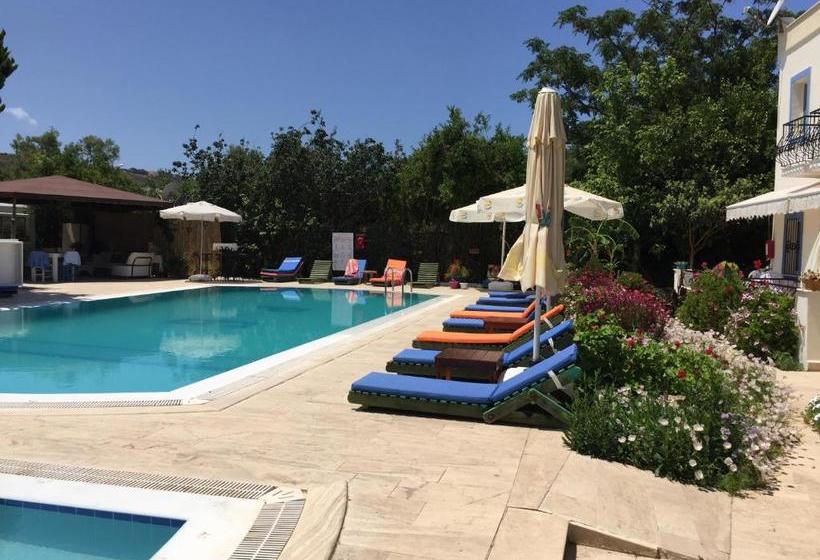 Paradise Garden Apartments