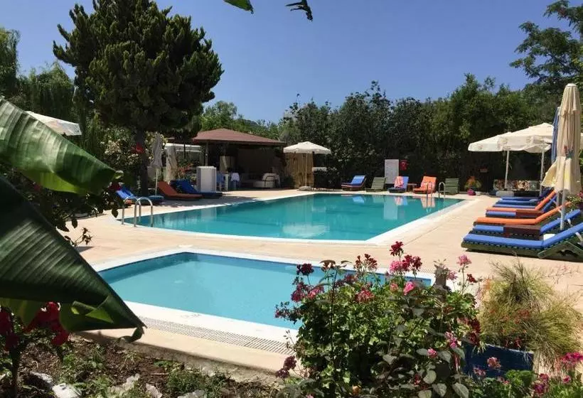 Paradise Garden Apartments