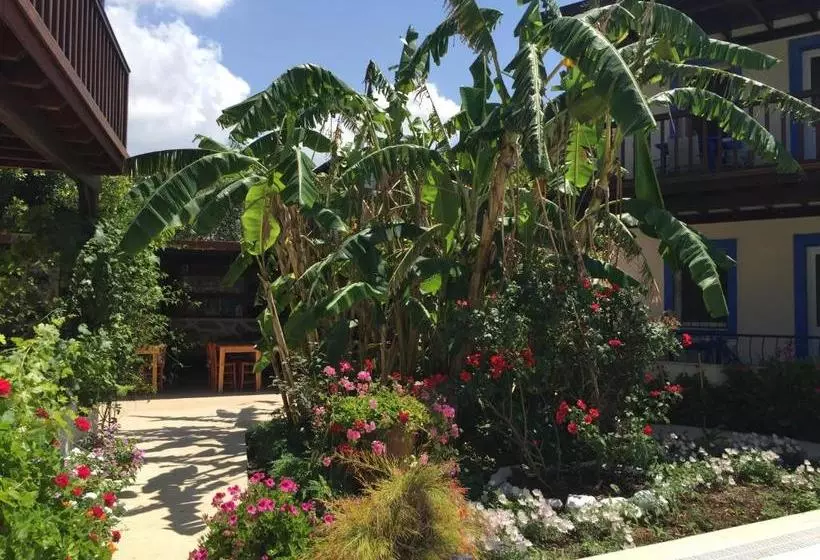 Paradise Garden Apartments