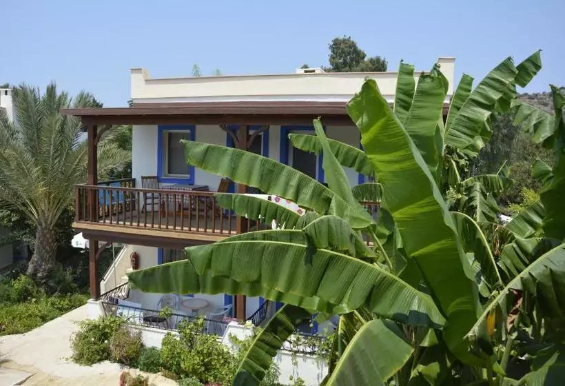 Paradise Garden Apartments