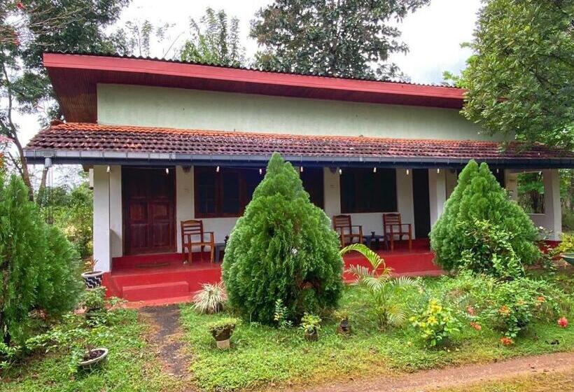 פנסיון Globetrotter Tourist Inn