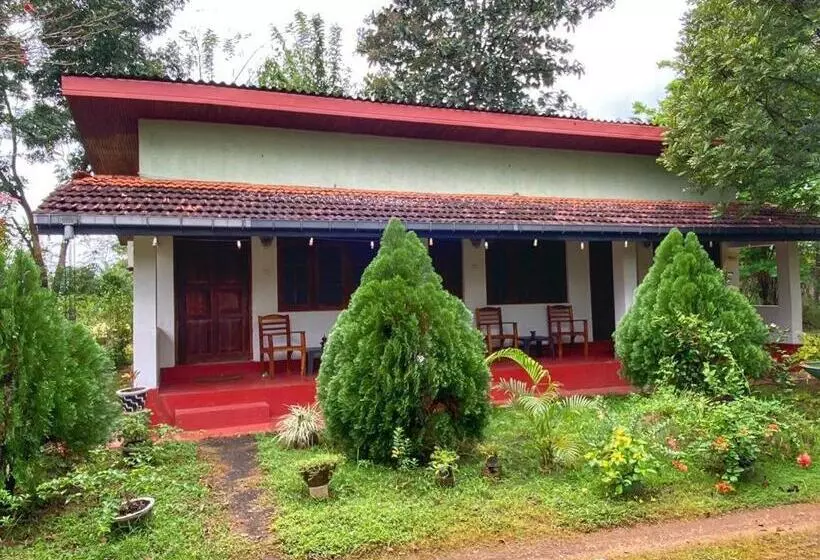 پانسیون Globetrotter Tourist Inn