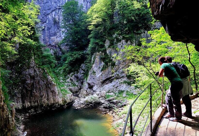 پانسیون Guesthouse Jersin